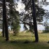 polu_777