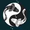 luna_15.91