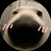 xauzainhungtoi05