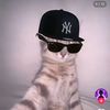 kennethverykool