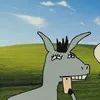 nwqfnh