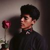 darkroses_br