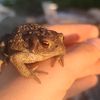 kabinyaka.ru