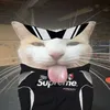 bl1tzk4tz_