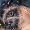king_rachelle1