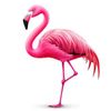 pinkflamingo529