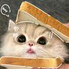 milkyshh_