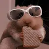 evelina_carrot