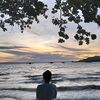 aliansyah8496