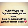 user824217691666