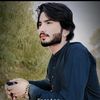 zohaibali26865