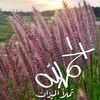 nooriabbasi115