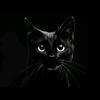 Salem Cat 🐈‍⬛