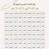 user4811356509819