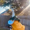 moosetheporchgoose