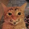 prince_69charles