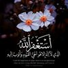 abo_arab225