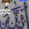 dy40czlmrwmy