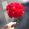 carosbubble1