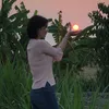 Hồng Phương