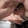 rrenn_12