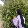 yamur48