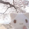 fi_wan2