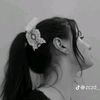 hal_di8