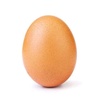 egg42578