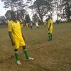 robin.van.mukiri