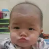 net..not