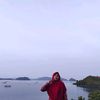 desmiya_