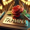 tahminajannat495