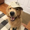 agentswagjuggmaster