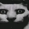 piorom4