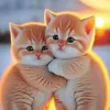 thulan_tran282
