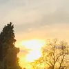 laghmani781
