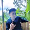 .wild_ant22