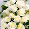 __.masal__
