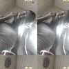 itsjustalora3