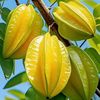 naseermohd57507