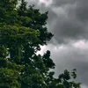 .jdififk