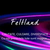 feltland.ro