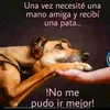 anitaa_per