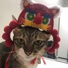 thanhphat281205