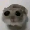 sibidinh_u.1