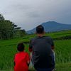 t_haryanto