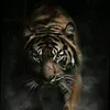 petualang__007