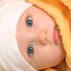 maha.bacha.03