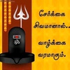 saravanansanmugam8